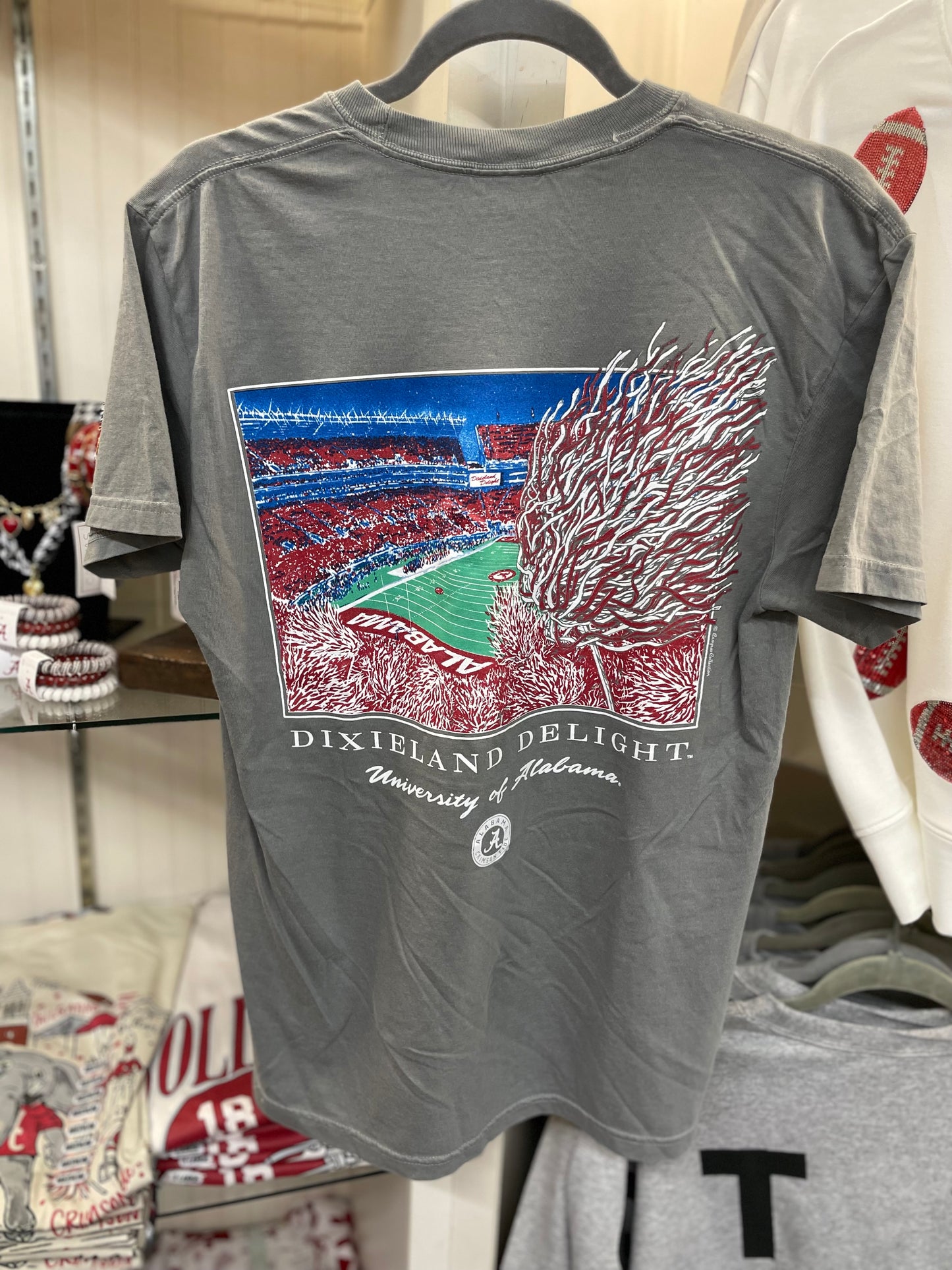 Dixieland Delight Stadium Tee