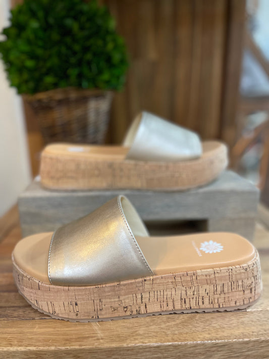 Anatto Metallic Slides