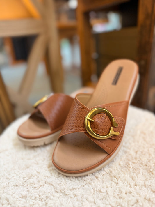 Raine Slide