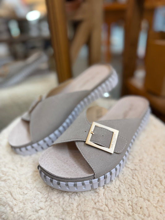 Tulip Buckle Flat Atmosphere