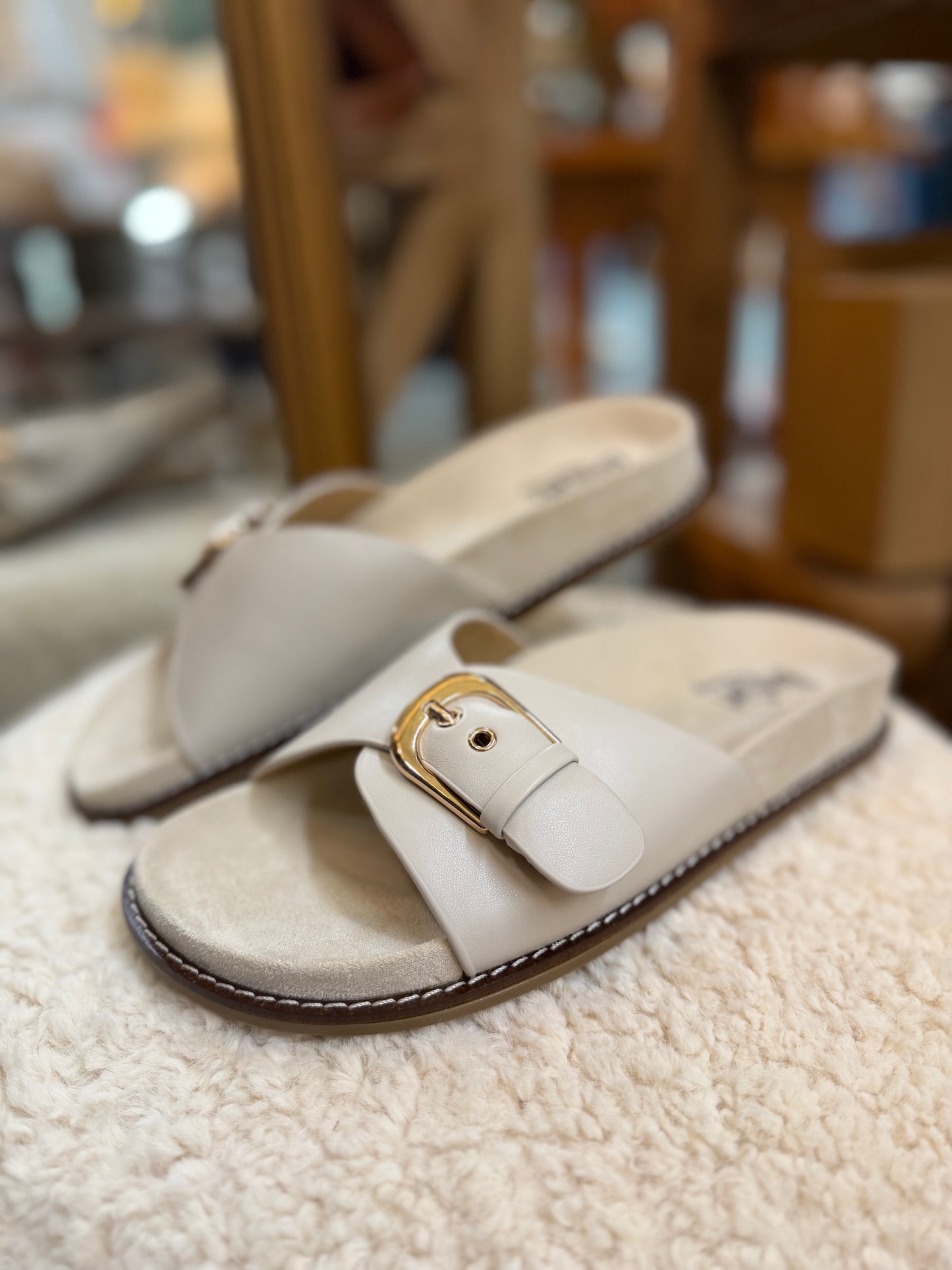 Passport Slide Ivory