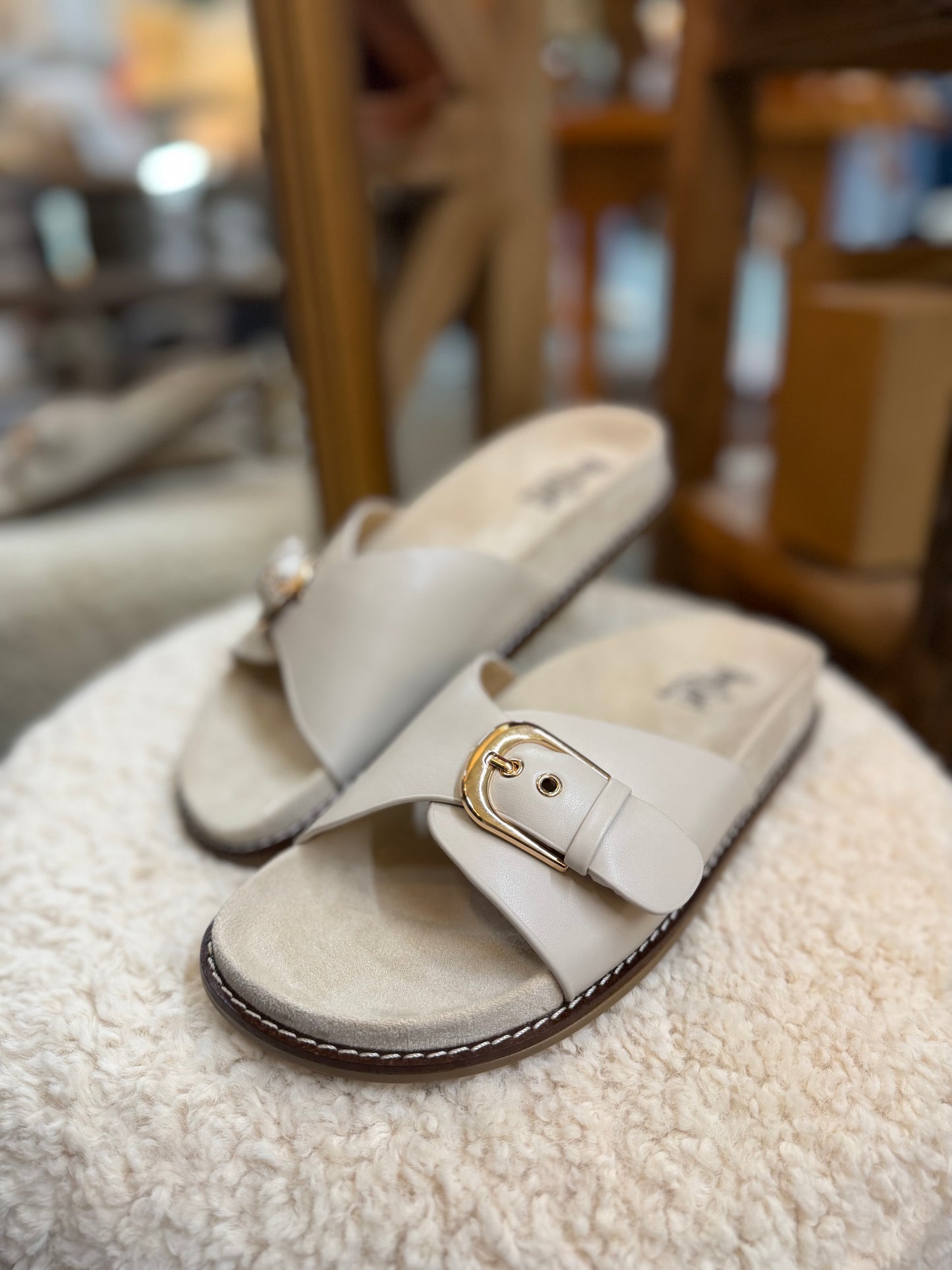 Passport Slide Ivory