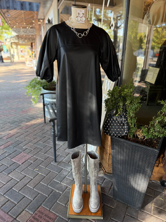 Raine Faux Leather Dress