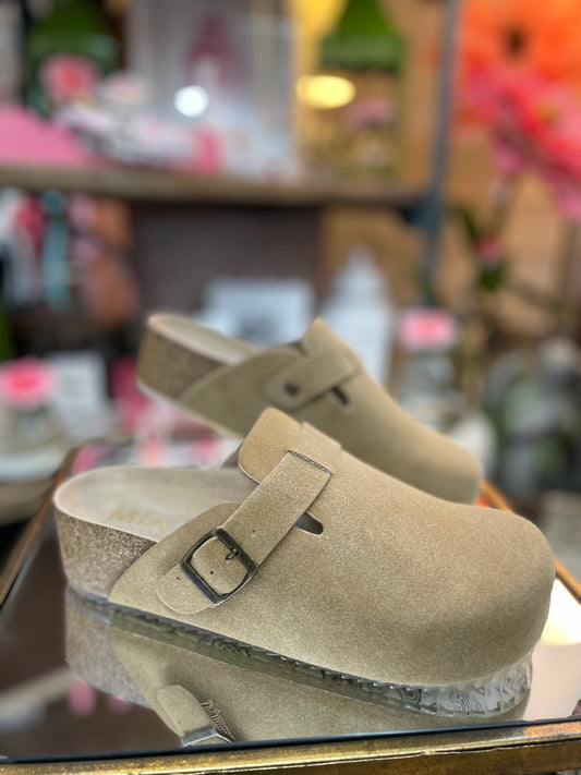 Qwest Mules